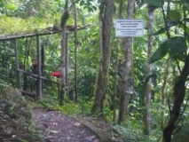 Imagen Reserva Buenaventura 